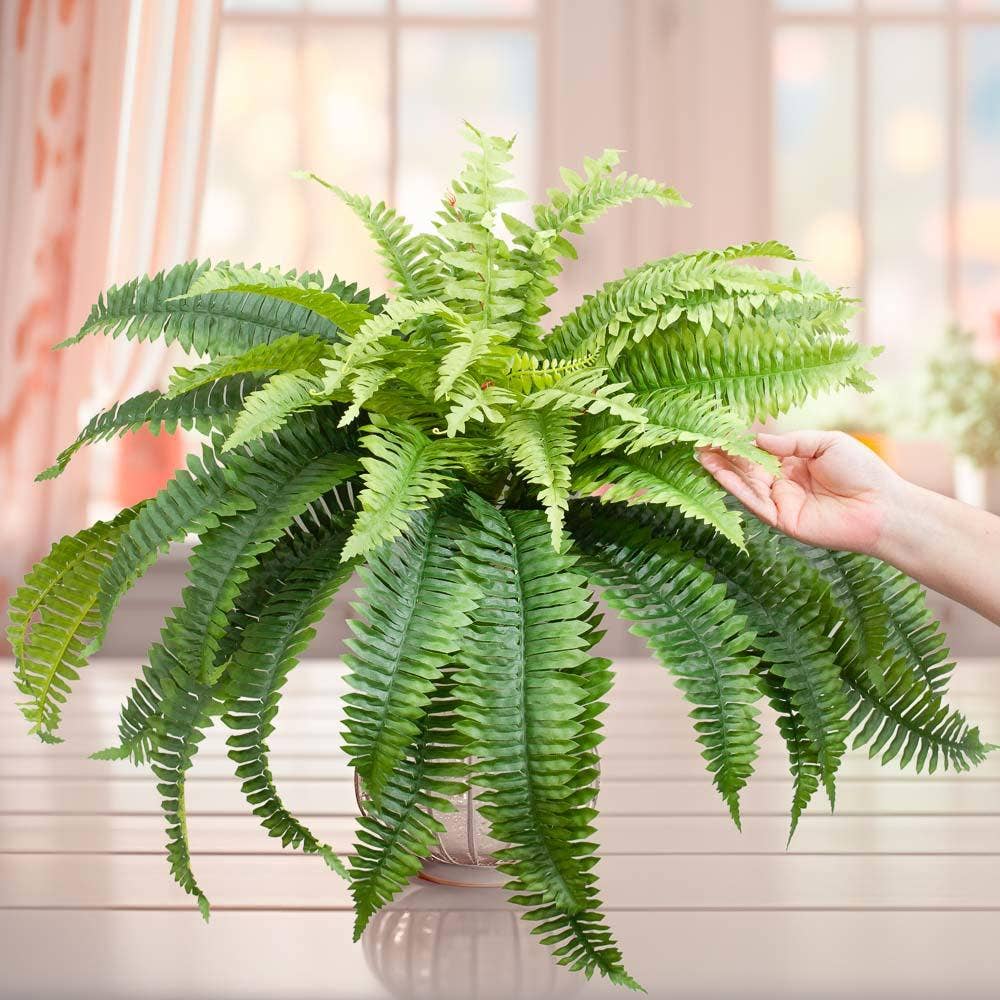 26″ Natural Look Artificial Boston Fern Bush in a white pot, featuring lush green fronds. Available in 26″ size.