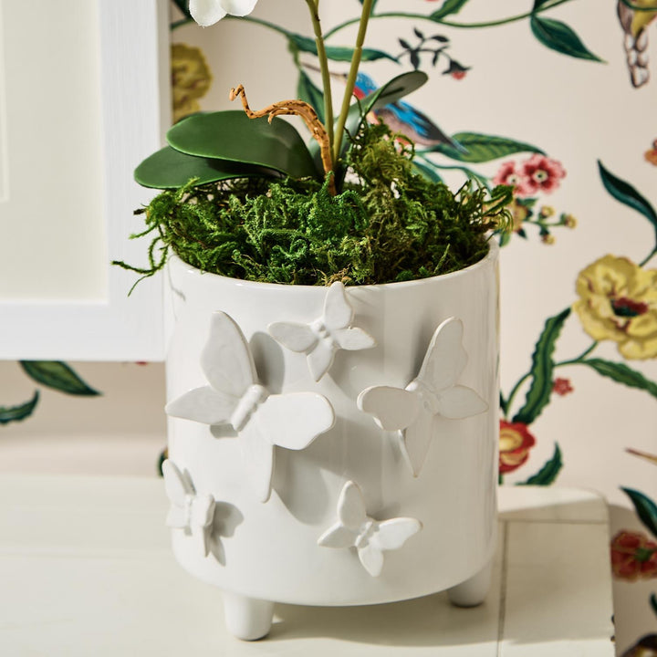 Butterfly Footed Cachepot with sculpted butterflies, shown with green moss. Available in small, medium, and large sizes.