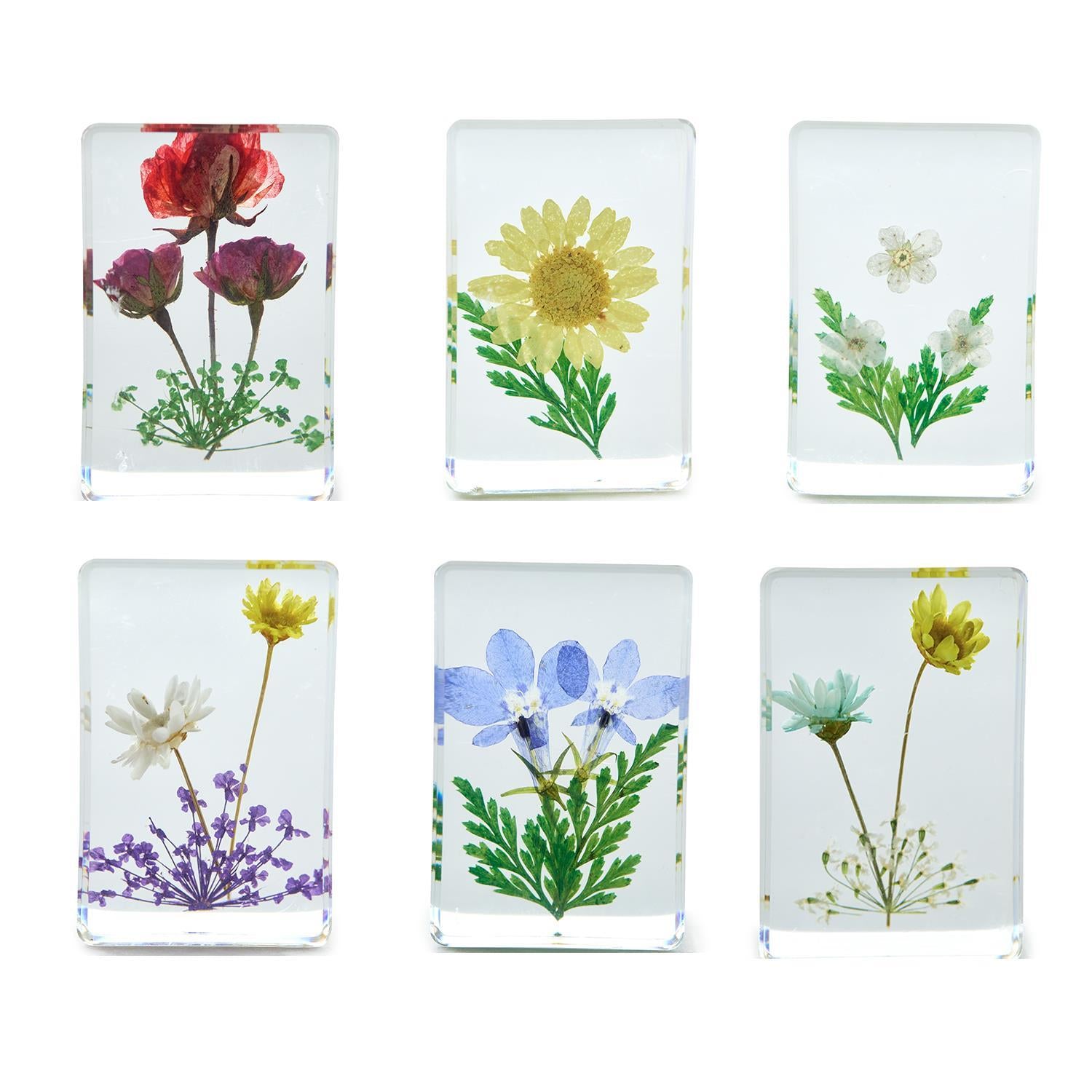 Six clear resin blocks with real pressed flowers and green leaves, arranged in two rows. Available in one gift box size.