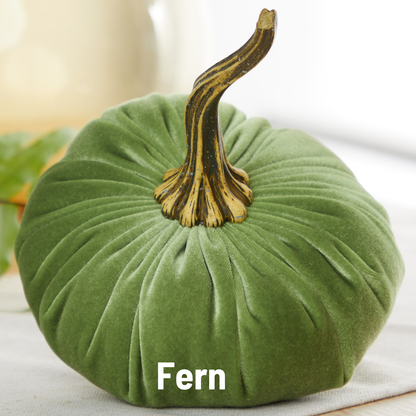 Green velvet pumpkin with realistic brown stem; “Fern” inscribed on bottom. Sizes available: small, medium, large.