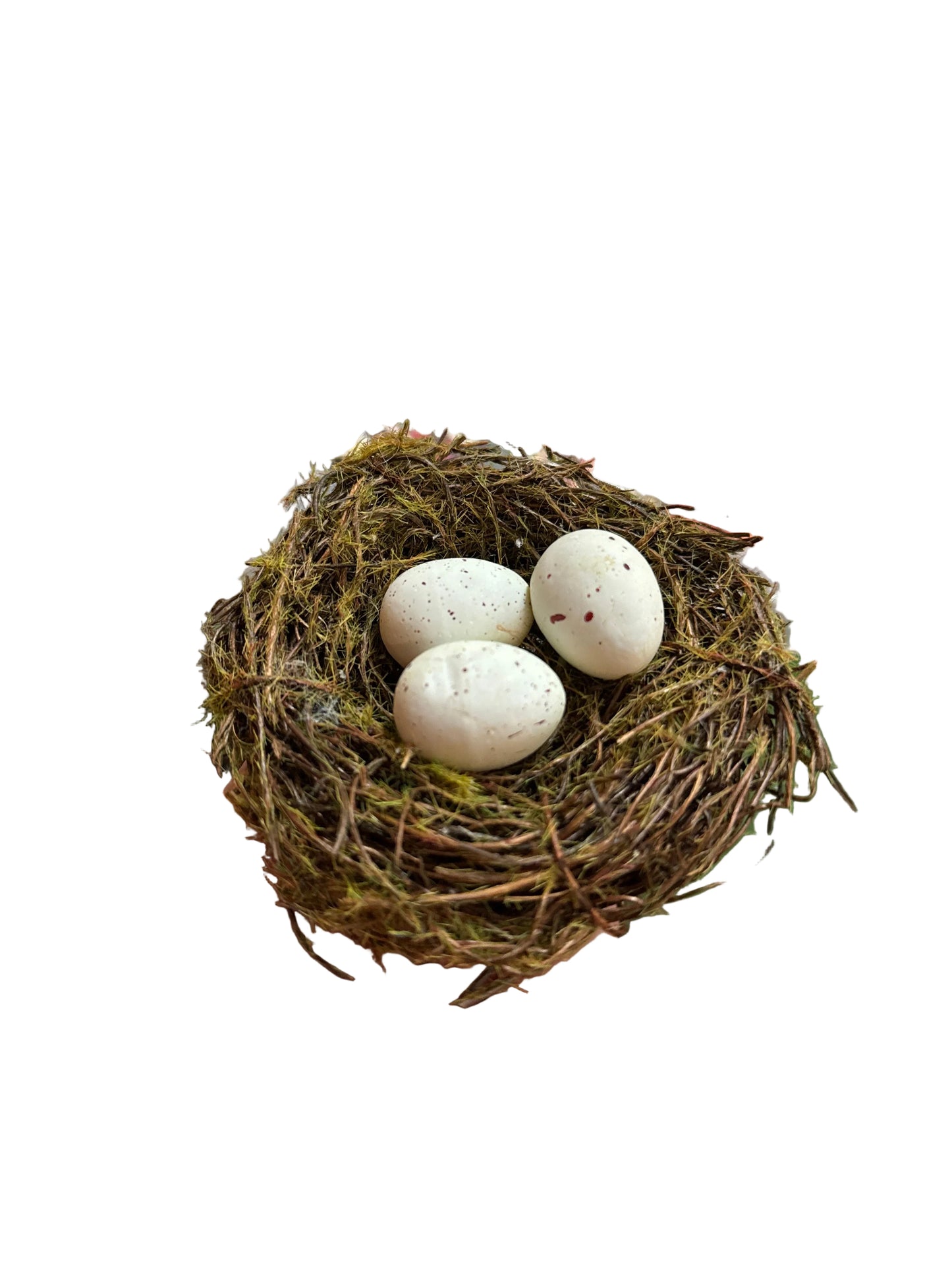 Moss Nest with Eggs