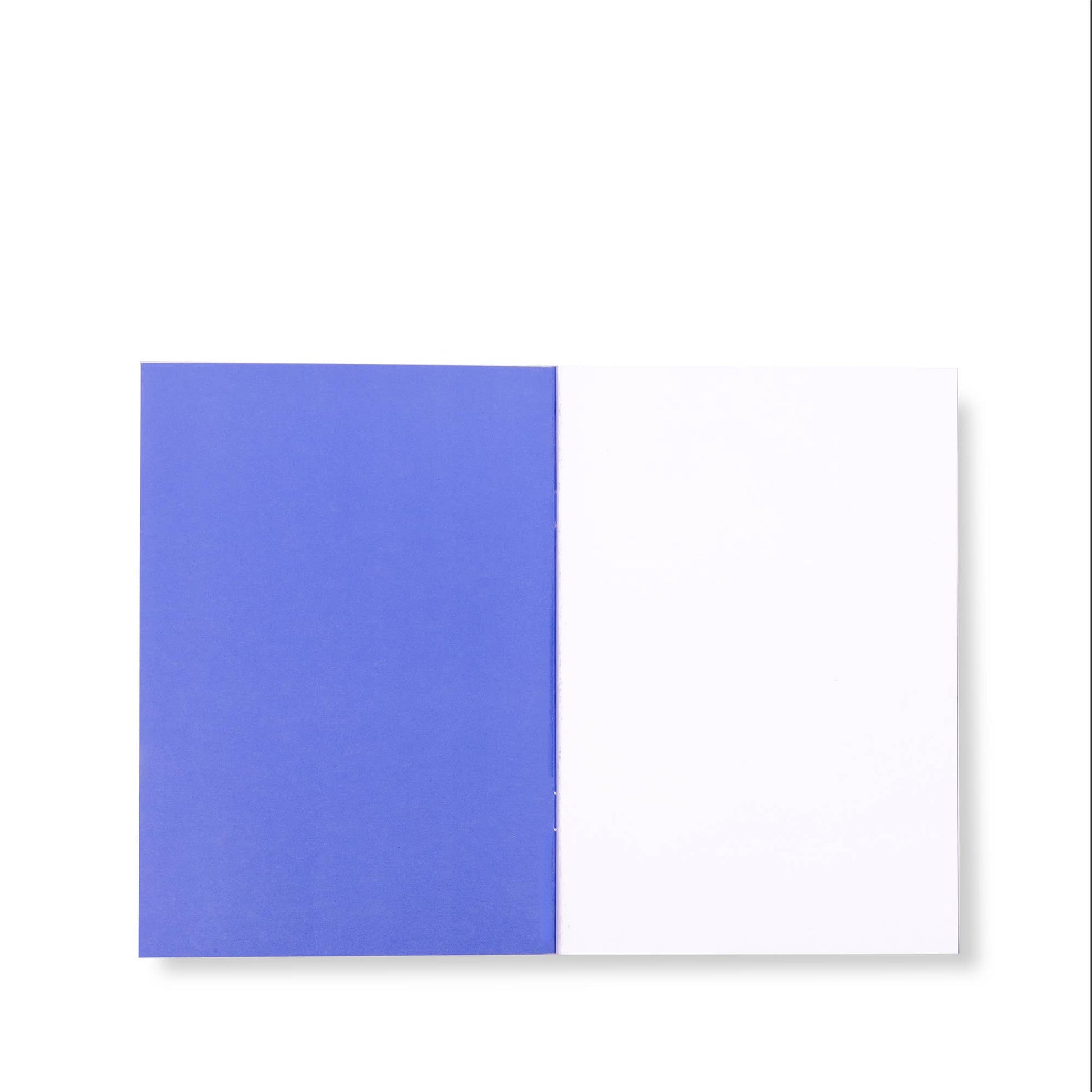 Triple Notebook Set, Sunny Day Stripe: vertically split cover—solid blue left, white right. Available sizes: A5, B6, Pocket.