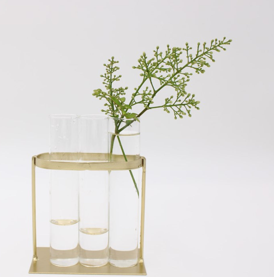 This product is a green plant branch adorned with tiny leaves, housed in a glass vase. The vase, measuring 4.5x2.75x6 inches, is positioned in an elegant gold stand.