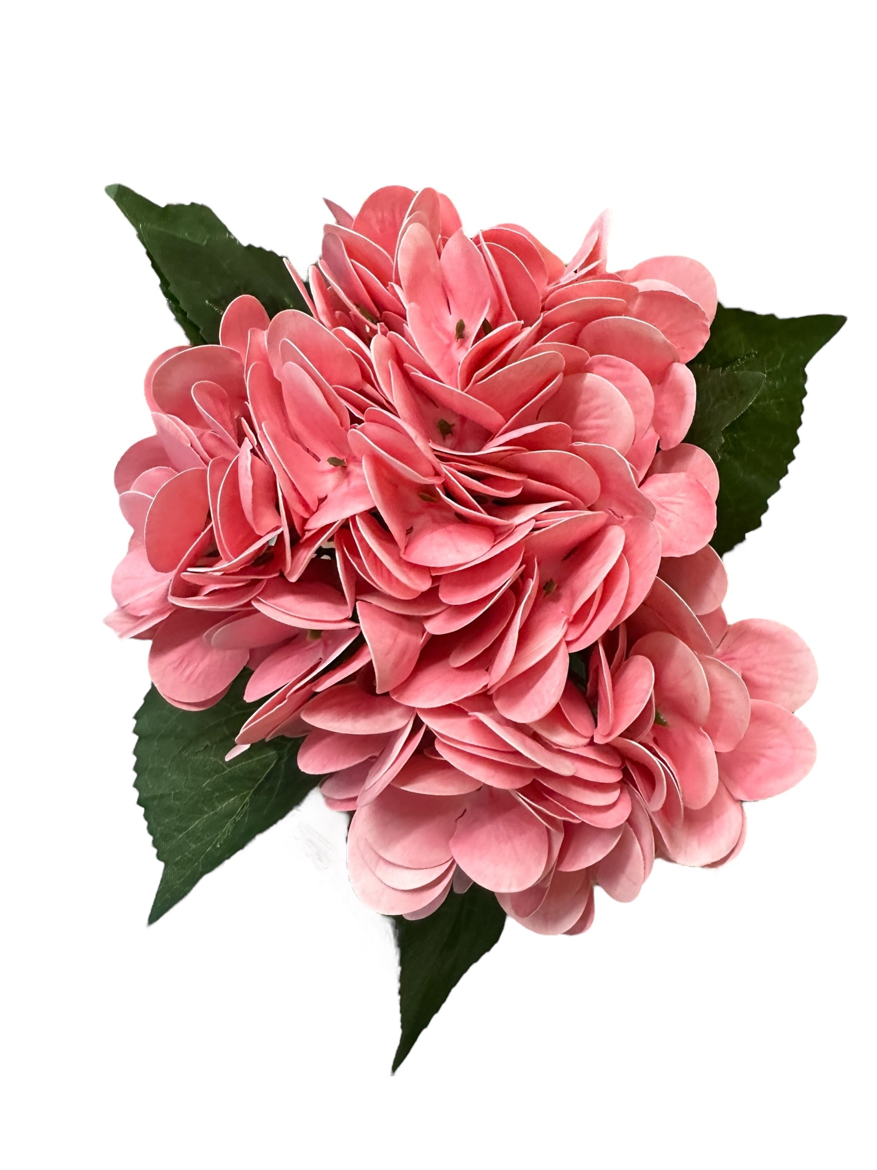Vibrant pink hydrangea bouquet with overlapping petals and green leaves. Available in small, medium, and large sizes.