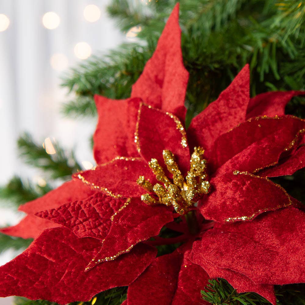 Burgundy artificial velveteen poinsettia with gold glitter accents; available in multiple sizes.