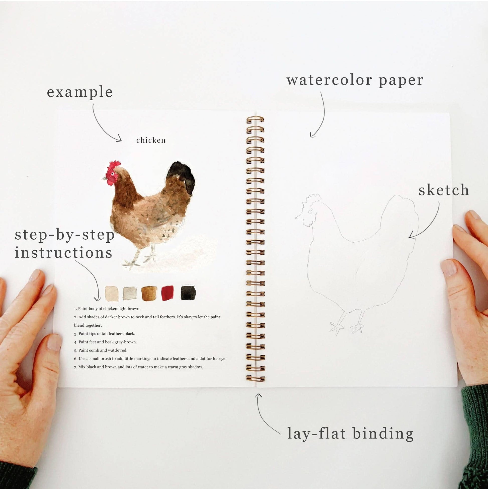 The Animals Watercolor Workbook, spiral-bound with step-by-step chicken illustration. Sizes available: 8x10 inches.