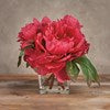 Red peonies with green leaves in a small glass vase. Available sizes: small, medium, large.