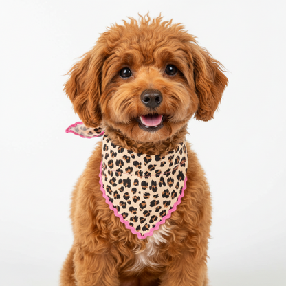 Leopard Print Pet Bandana with pink trim, available in small, medium, and large sizes.