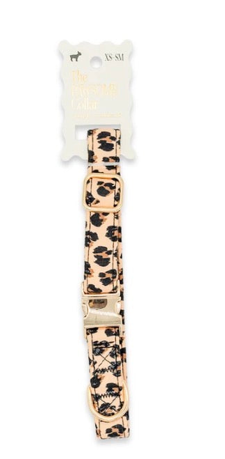 Leopard print pet collar with gold hardware, adjustable, available in sizes XS-SM.