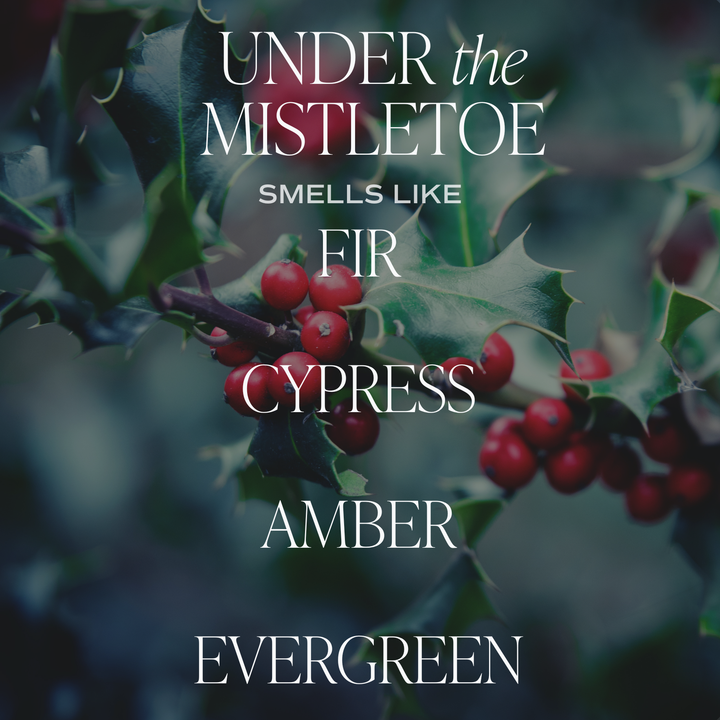 Under the Mistletoe 15 oz Soy Matte Candle.