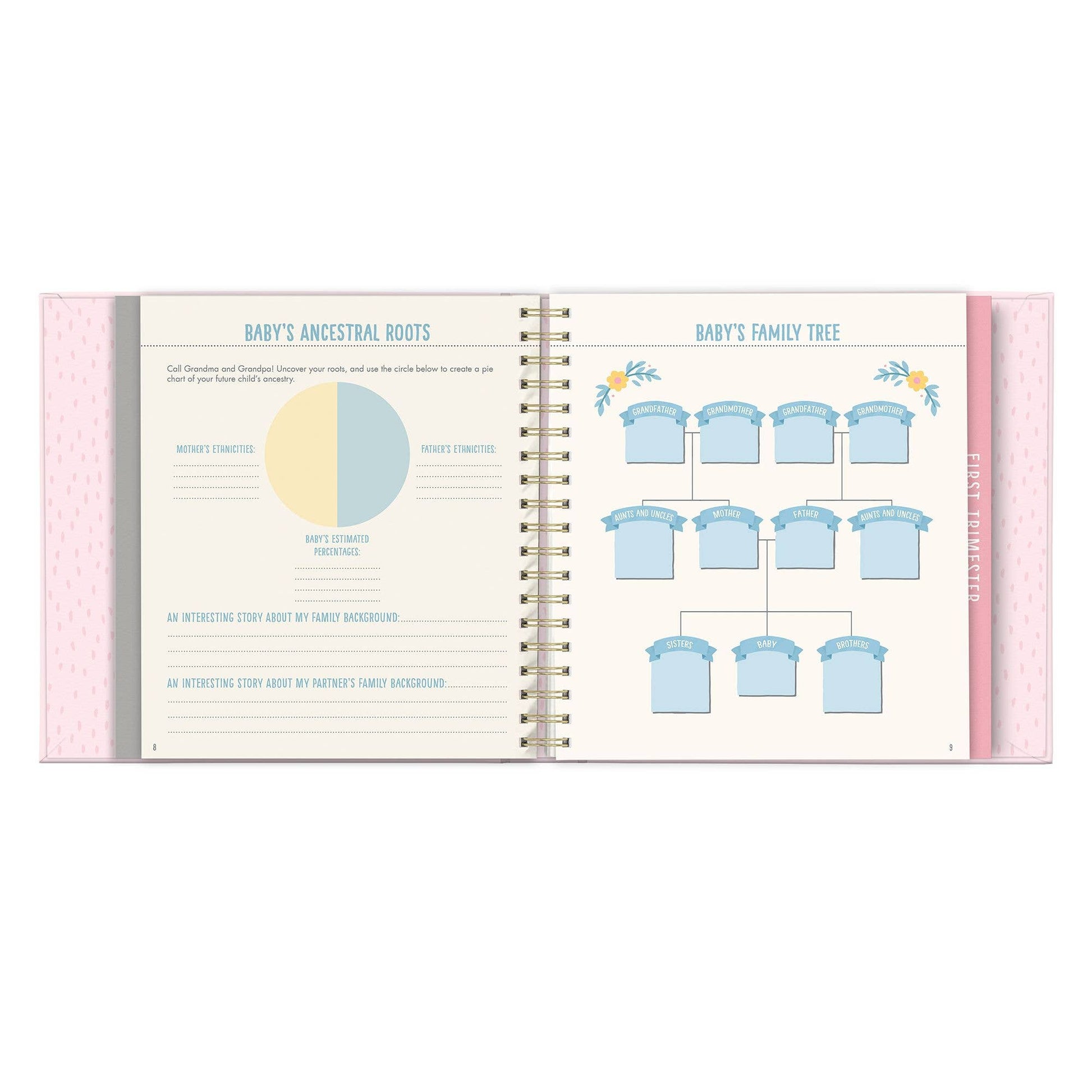 Bump for Joy: A Pregnancy Journal (Pink), includes pages for family history; available in standard size.