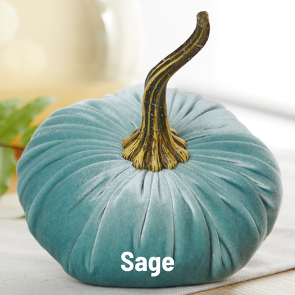 Large velvet pumpkin in soft fern green with realistic brown stem. Available in large size. “Fern” text at bottom.