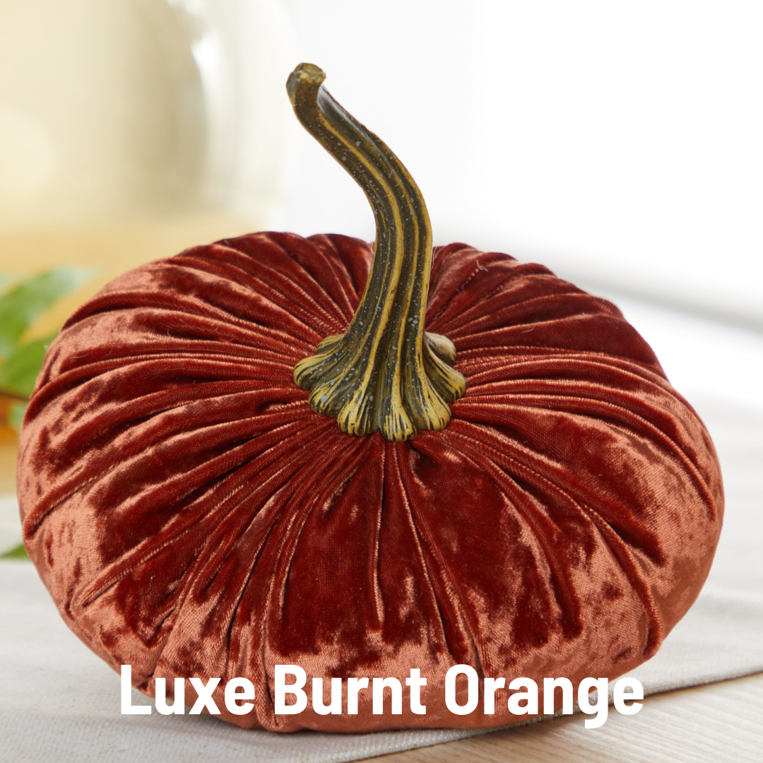 Large fern green velvet pumpkin with long curved stem; available in multiple sizes. “Pumpkin Large Velvet” text at bottom.