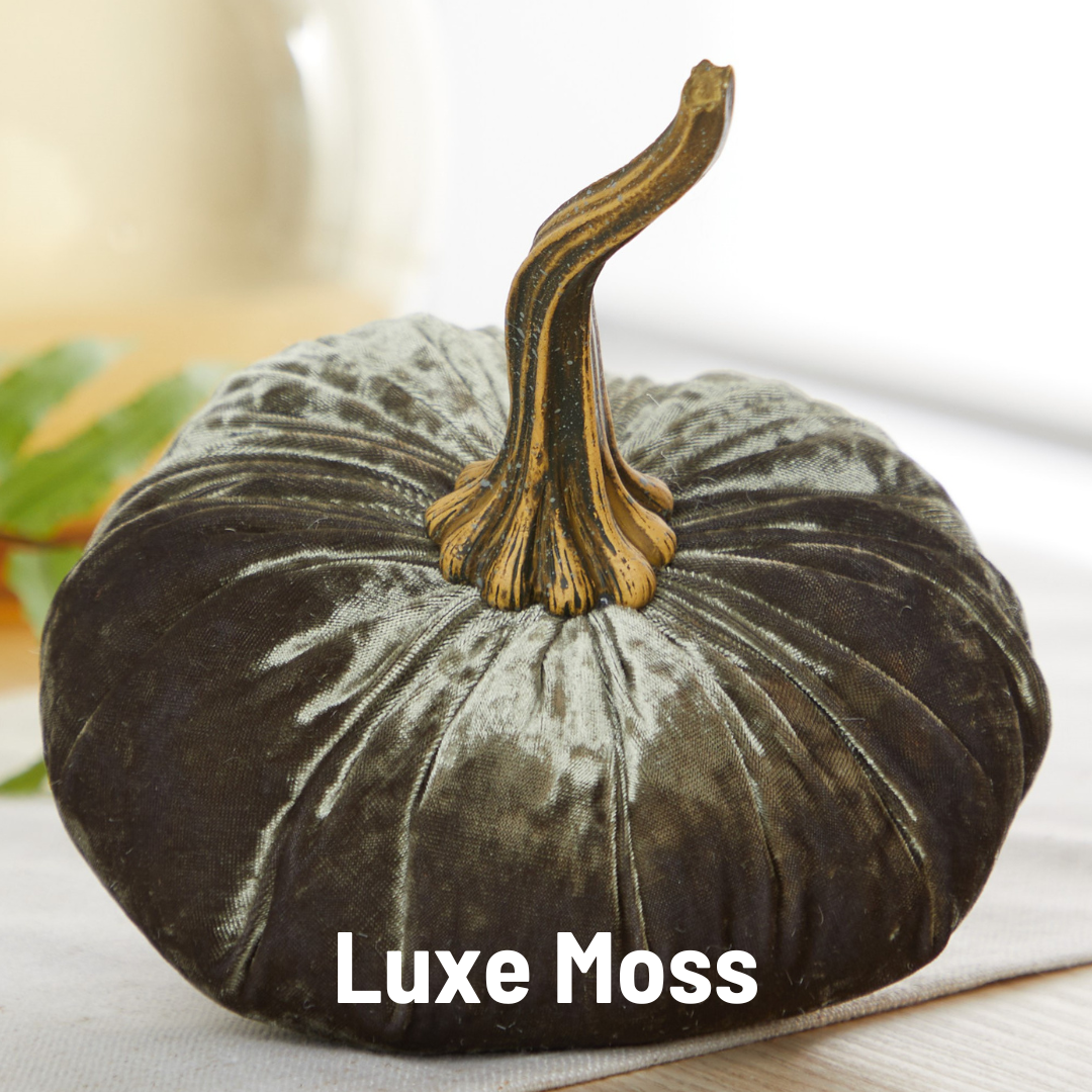 Plush velvet pumpkin in fern green with a twisted, realistic stem. Available in large size. “Fern” is displayed at the bottom.