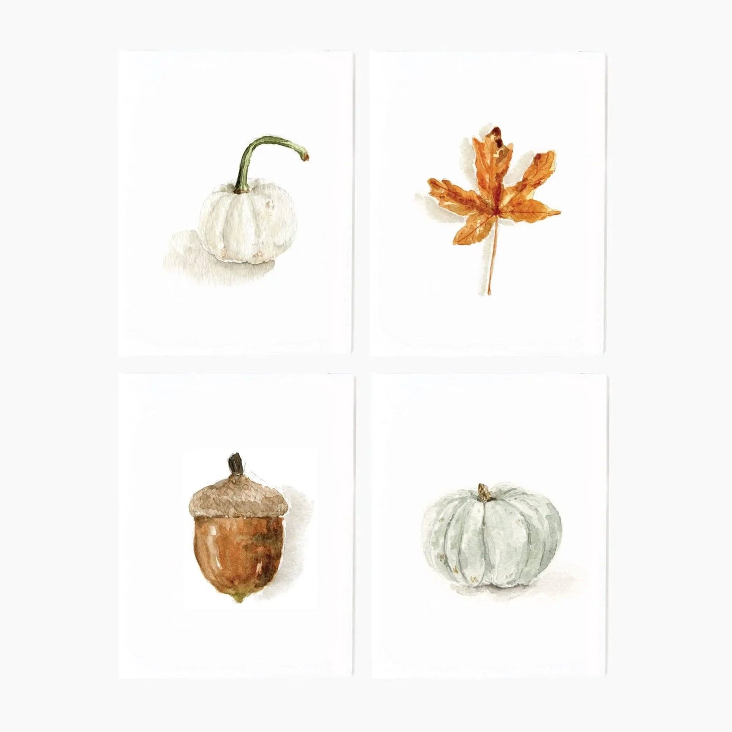 Autumn assorted notecard set with four watercolor designs: white pumpkin, orange maple leaf, acorn, and pale blue-green pumpkin. Available in standard 4.25″ x 5.5″ size.