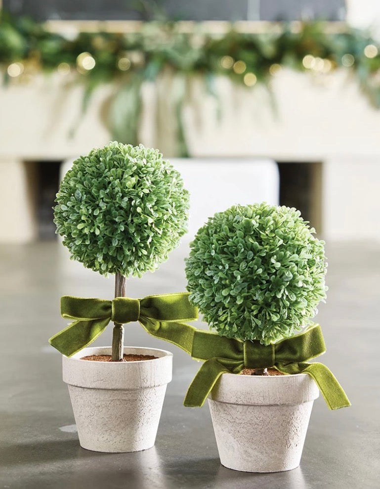 Two small Topiary w/ Velvet Bow plants with round green foliage in white pots, each adorned with a rich green velvet bow. Available in small size.
