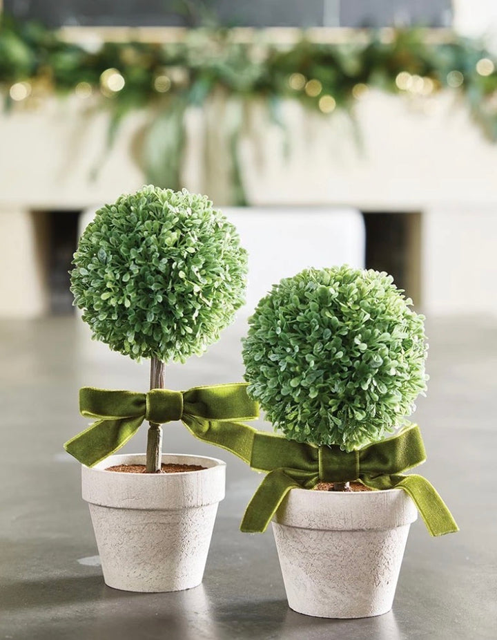 Two small Topiary w/ Velvet Bow plants with round green foliage in white pots, each adorned with a rich green velvet bow. Available in small size.