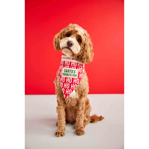 Reversible holiday bandana featuring a red and white “HO HO HO” pattern and a green “SANTA’S FAVORITE PUP” patch.