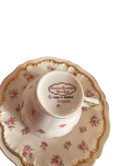 Antique hand-painted porcelain demitasse cup and saucer, floral rose pattern, gold trim. No size info available.