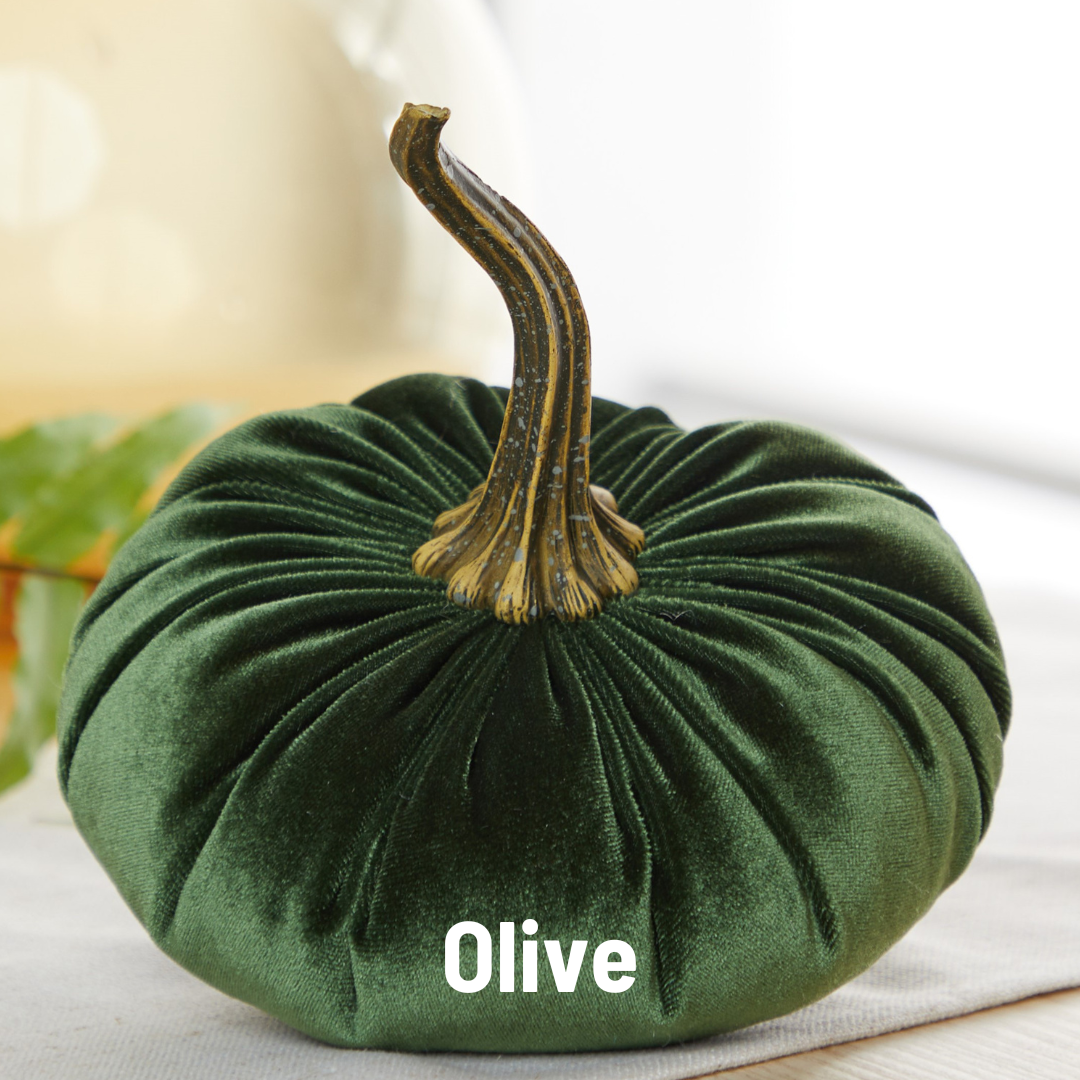 Dark green velvet pumpkin with a curved brown stem and “Fern” in white letters on the front; available in multiple sizes.