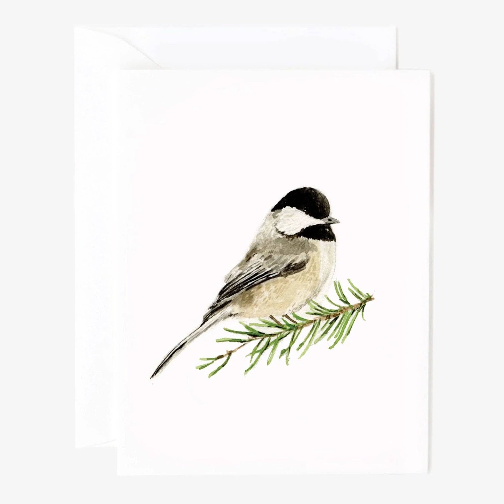 Evergreen Christmas assorted notecard set with a watercolor chickadee on a pine branch; available in multiple sizes.