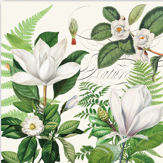 Magnolia Petals Luncheon Napkins, 6.5"x6.5", feature white magnolias, ferns, detailed leaves, and "Nature" in script.