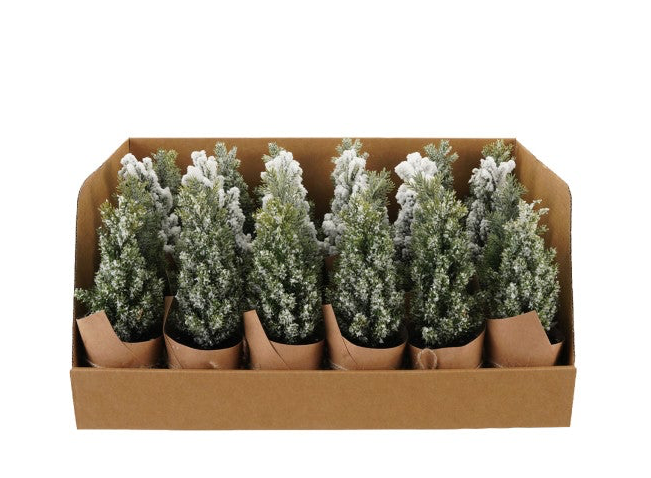 Twelve small faux tree decorations with a snow finish in paper-wrapped pots.