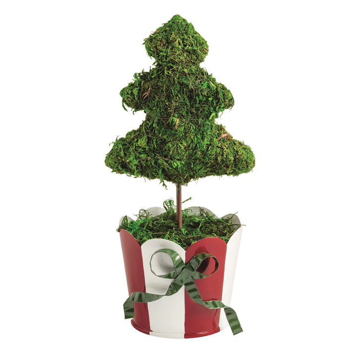 Moss Christmas tree topiary in a red and white striped metal pot with a green ribbon. Available in various sizes.