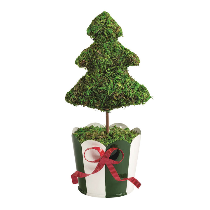 Moss Christmas tree topiary in a green and white striped metal pot with red ribbon. Available in multiple sizes.