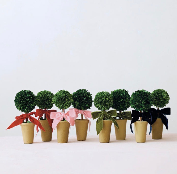 Eight dried boxwood trees with velvet bows in terra-cotta pots, featuring rounded green canopies.