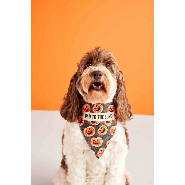 Bad To the Bone Reversible Holiday Bandana