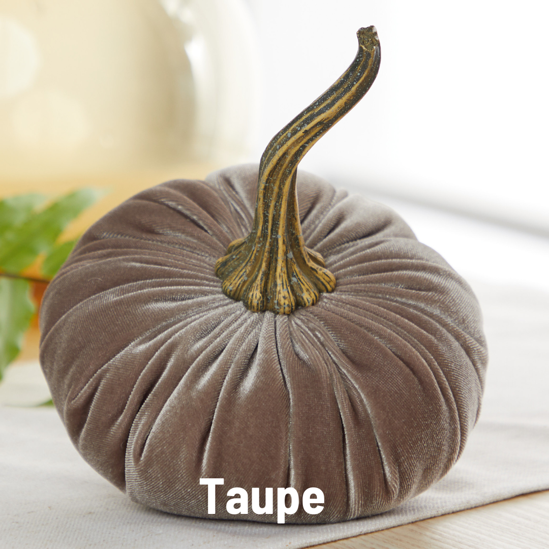 Taupe Velvet Pumpkin with lifelike stem, available in small, medium, and large sizes. “Taupe” label at the bottom.
