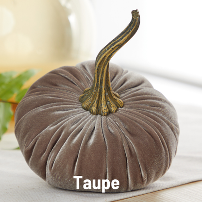 Taupe Velvet Pumpkin with lifelike stem, available in small, medium, and large sizes. “Taupe” label at the bottom.