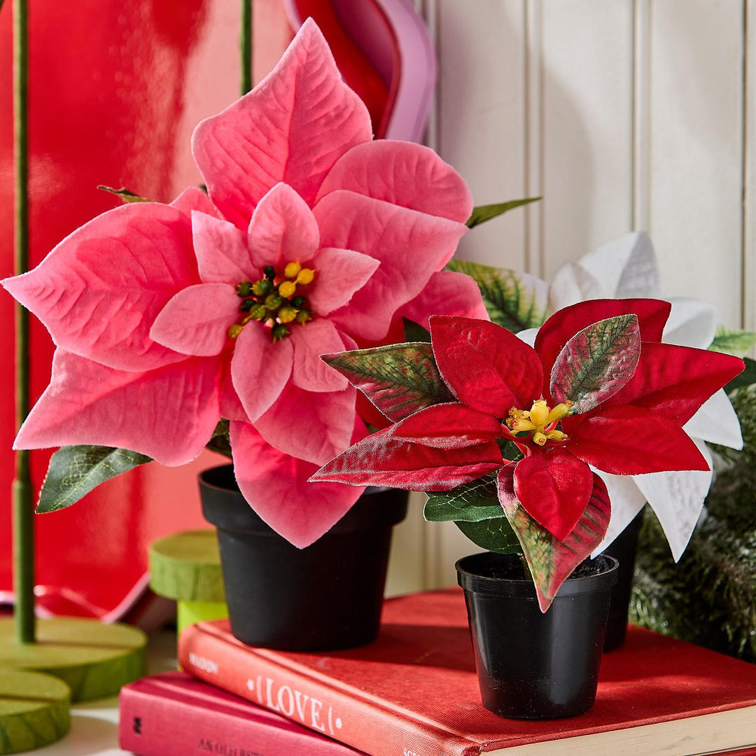 Large and small Festive Flower Market Faux Poinsettia plants in black pots.