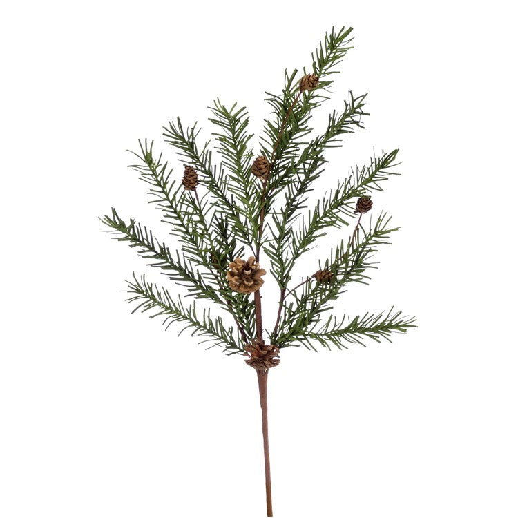 Pine branch spray with small pinecones.