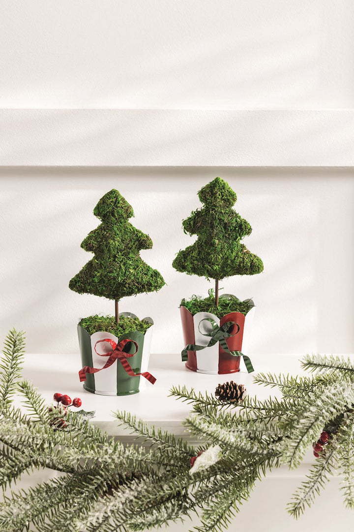 Two moss-covered Striped Christmas Tree Topiaries in striped ribboned metal pots.
