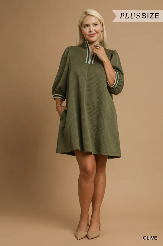 Olive Jacquard High Neck Dress: olive green, knee-length, striped collar/cuffs. Available in plus sizes 14-28.