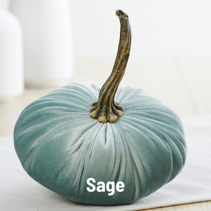 Sage green velvet pumpkin with natural stem; available in multiple sizes. “Sage” in white text at bottom.