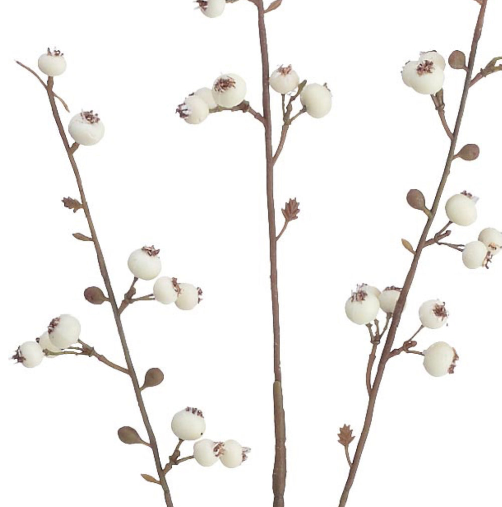 Floral Huckleberry Spray with three thin brown branches and clusters of small white berries.