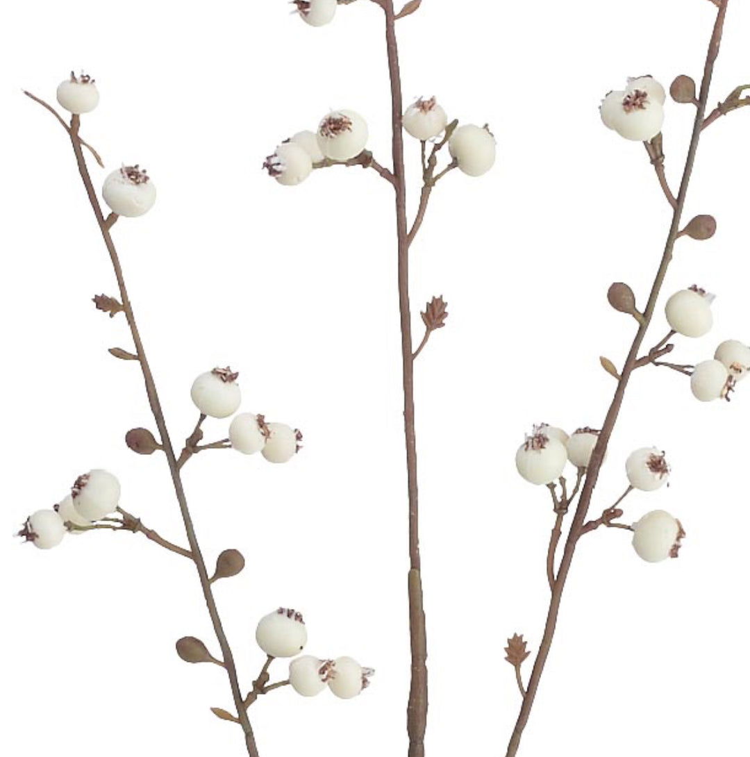 Floral Huckleberry Spray with three thin brown branches and clusters of small white berries.