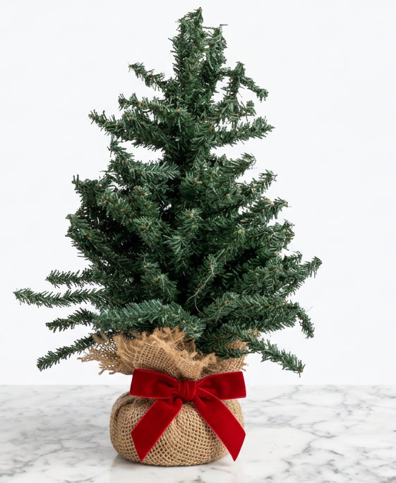 Mini Christmas pine tree in a burlap-wrapped base with a red velvet bow. Available in multiple sizes.