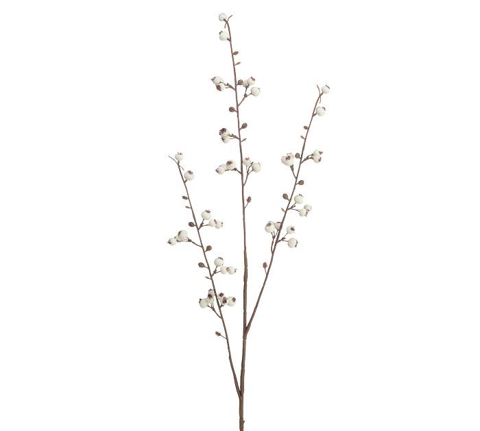 Floral Huckleberry Spray with thin stems and small, round white berries.