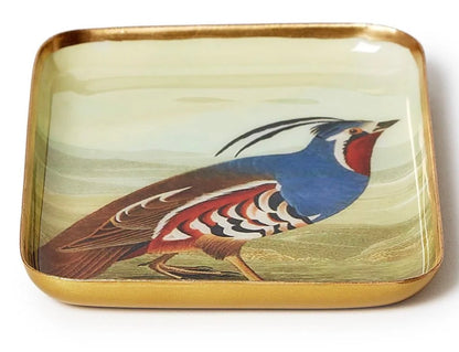 Small square vintage-inspired metal tray with gold edges, featuring a colorful pheasant illustration in blue, red, white, and brown tones. Available size: small.