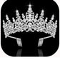 Sparkling silver tiara with clear crystals, ornate design, combs on each side. Available sizes: small, medium, large.