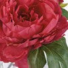 Vibrant red peonies in full bloom with layered petals and green leaves. Available sizes: small, medium, large.