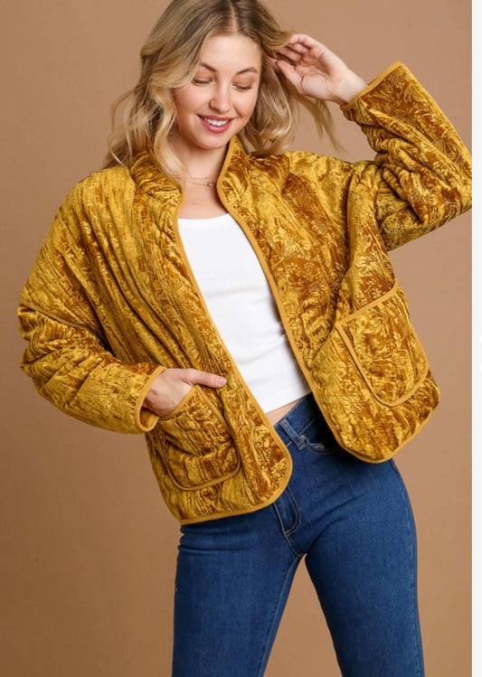 Fall Vintage Velvet Jacket