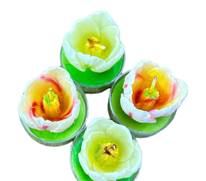 Set of four sculpted tulip T-light candles with white petals, yellow or orange centers in green holders. Sizes: small, medium.
