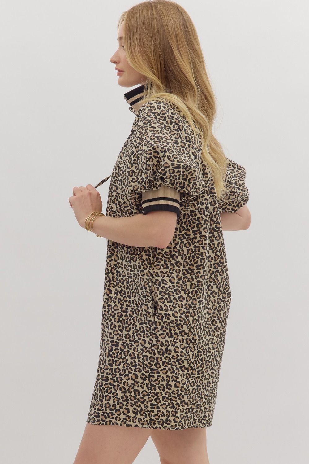 Animal Print Collared Dress