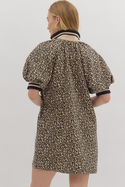 Animal Print Collared Dress
