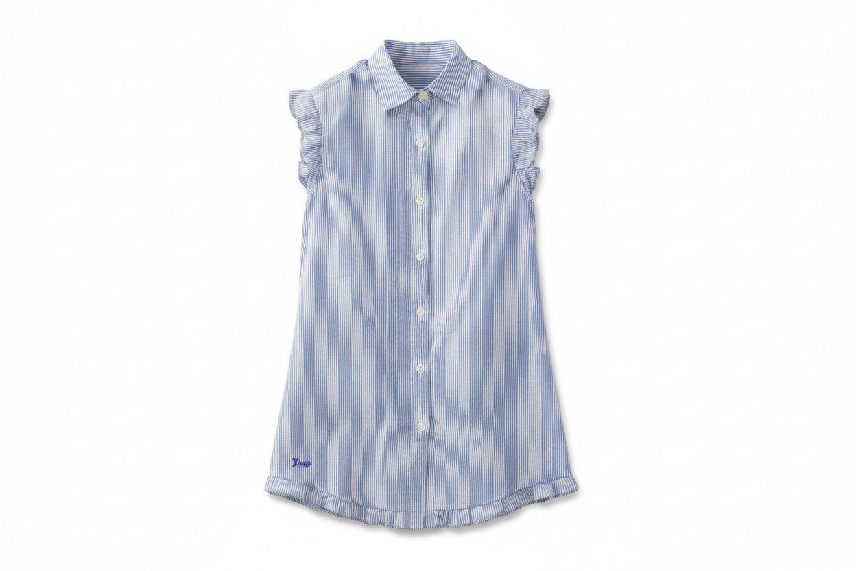 Light blue, sleeveless button-up dress with subtle stripes, ruffled edges, small embroidery; sizes XS–L.